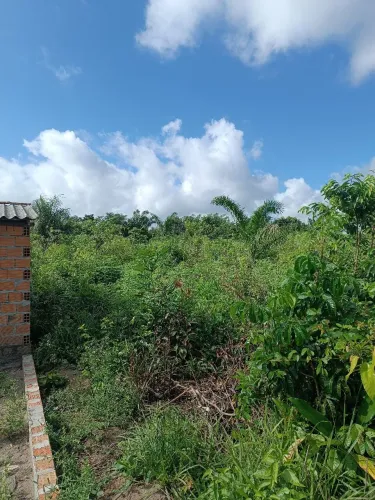 Terreno na vila do engenho