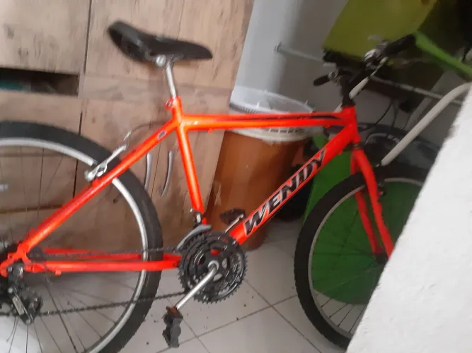 Bicicleta