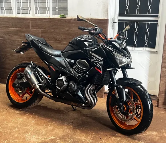 Z-800 Repasse