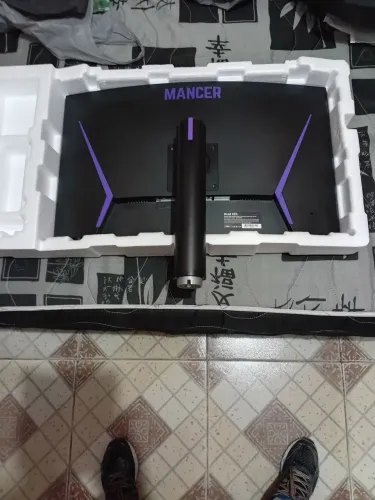 Monitor gamer