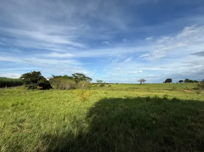 FAZENDA À VENDA PECUÁRIA PRONTA | BIRIGUI/SP