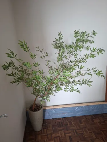 Planta permanente com vaso 