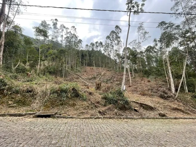 Terreno com boa topografia em condomínio fechado no Cônego- Nova Friburgo, medindo , 800,3