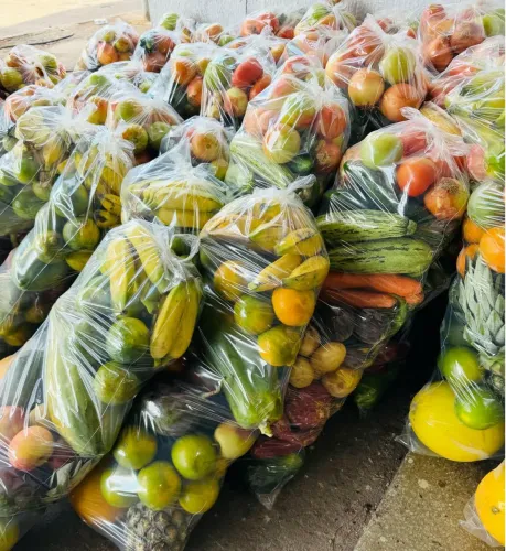 CESTAS DE FRUTAS OU LEGUMES 