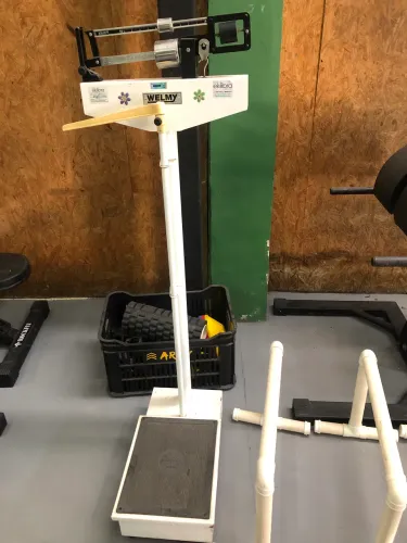 Balança Welmy mecânica profissional