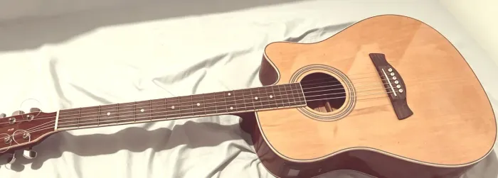 Violão