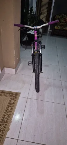 Bicicleta Viking