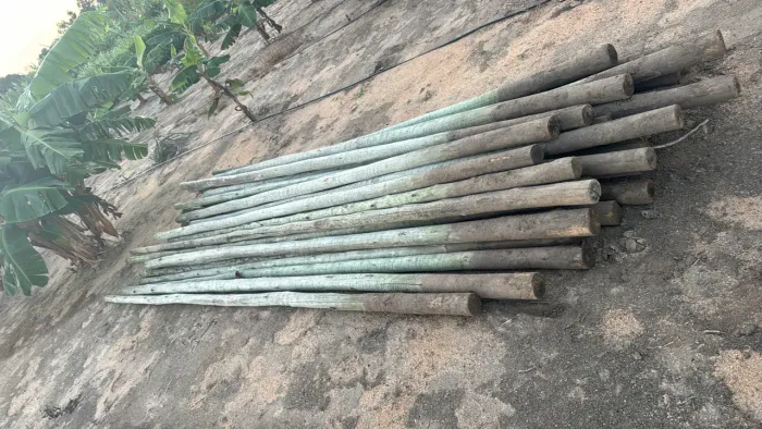 Vendo peça de eucalipto tratado de 4mtr