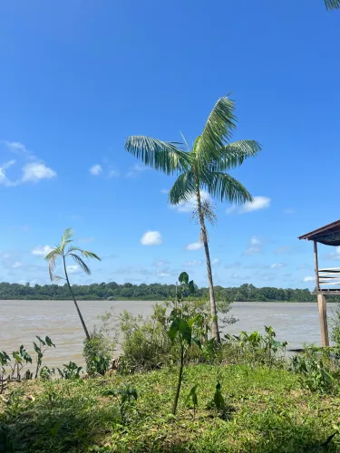 Ilha do Combú - 55 mil 