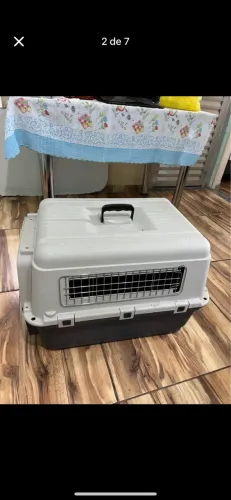 Caixa de Transporte para Cães e Gatos