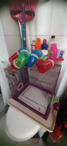 Gaiola de hamster/gerbil 