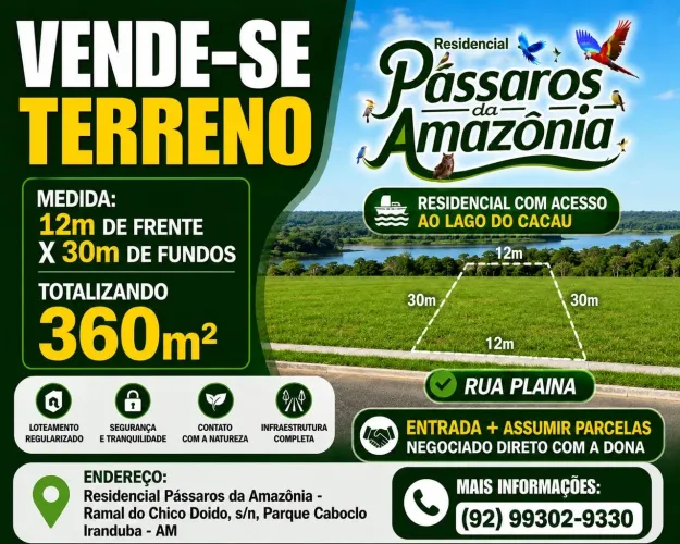 Vendo terreno no pássaro da Amazônia