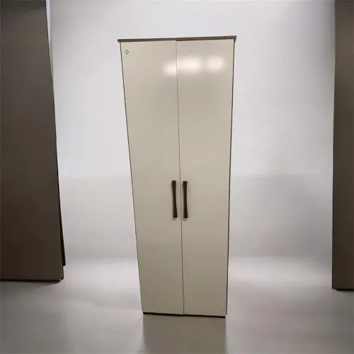 Armário Multiuso 2 Portas com Prateleiras (Bom Estado / Detalhe Atrás)
