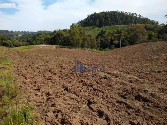 Terreno à venda, 14044 m² por R$ 1.900.000 - Forqueta - Caxias do Sul/RS