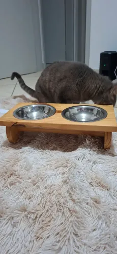 Comedouro ergonômico elevado