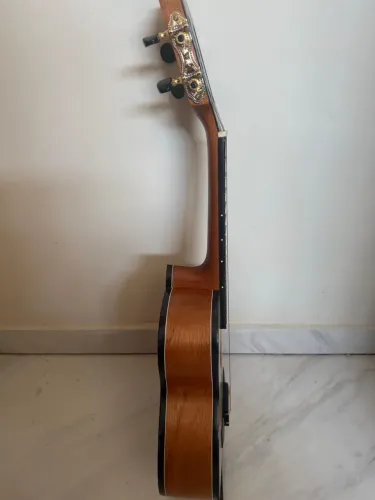 Cavaco cedro