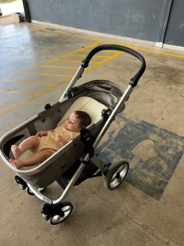 Carrinho de bebê fisher price 