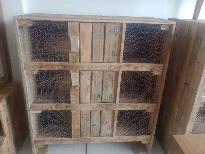 Viveiro 3 Repartições para aves em geral 