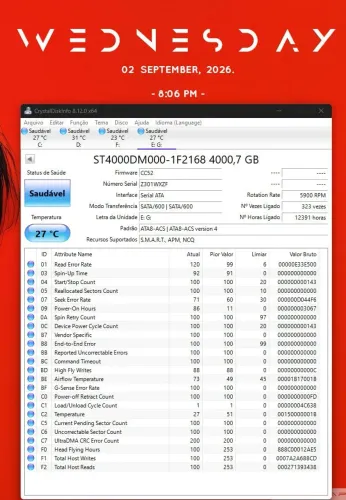 HD interno Seagate 4 terabytes