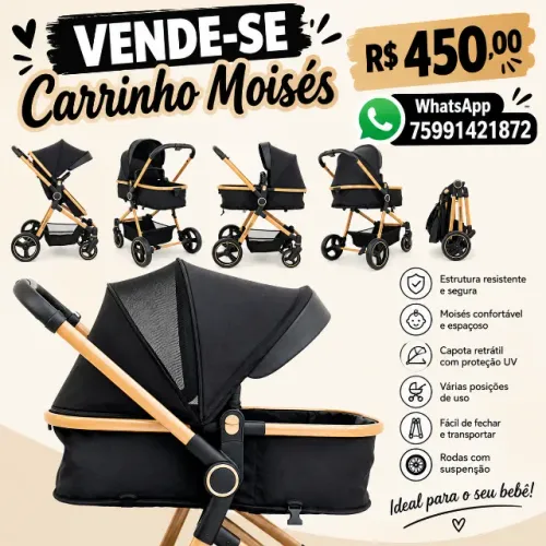 Carrinho Moisés GALZARANO 450,00
