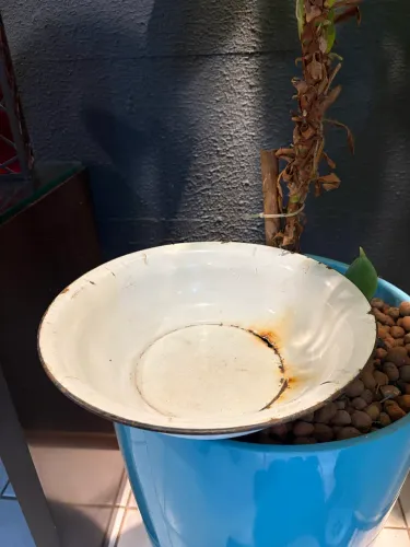 Bacia antiga de Ágata assinada pela famosa marca Souza Noschese (FIP S. Paulo).
