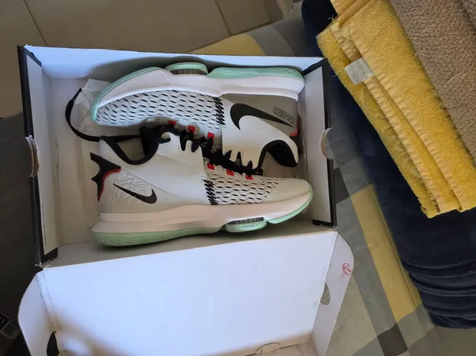 Lebron Witness 5