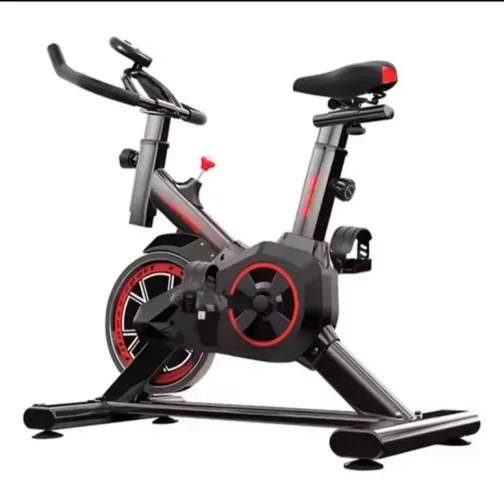Bicicleta ergométrica