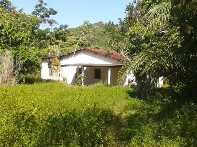 FAZENDA MUTUM - 572 HECTARES (5.720.000m2 | SUL DA BAHIA)