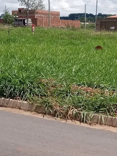 Dene se um ágio lote no setor Bella vitta Goiânia