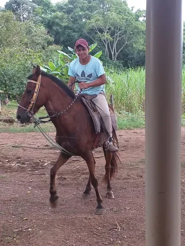 Vaga para caseiro ou vaqueiro 