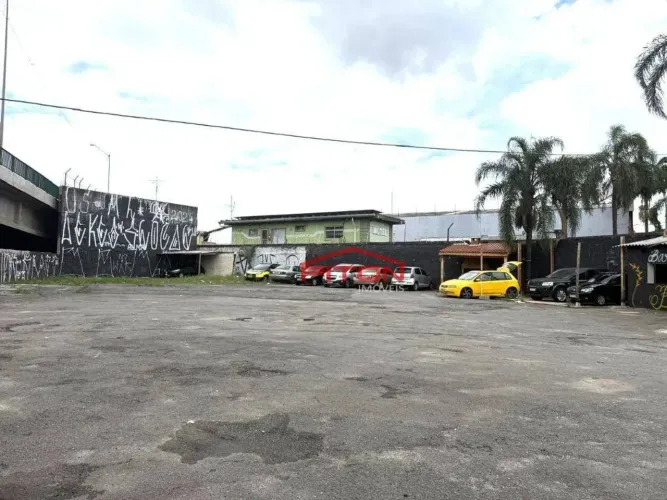 terreno-sãp miguel paulista-sp-