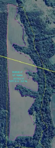 Sítio com seis alqueires em meio de terra