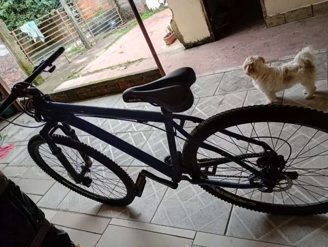 Bicicleta