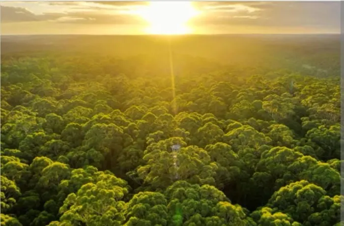 Área de compensação Ambiental 